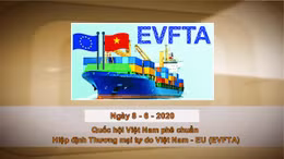 Khoảnh khắc và Sự kiện ngày 8/6