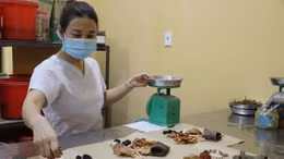 Học Bác mỗi ngày: Phát triển y học cổ truyền, chăm sóc sức khỏe nhân dân tốt hơn trong giai đoạn mới