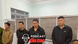 Tin nóng trong nước nghe nhanh sáng 29/12