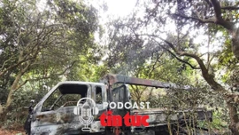 Tin nóng trong nước sáng 5/3/2026