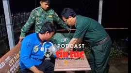 Tin nóng trong nước sáng 6/9/2025