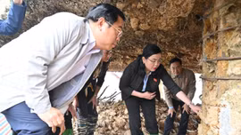 Tin nóng trong nước sáng 12/11/2025