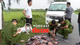 Tin nóng trong nước sáng 14/6/2025