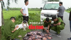 Tin nóng trong nước sáng 14/6/2025