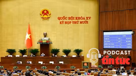 Tin nóng trong nước sáng 8/12/2025