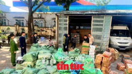 Tin nóng trong nước sáng 29/1/2026