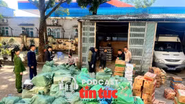 Tin nóng trong nước sáng 29/1/2026