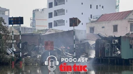 Tin nóng trong nước sáng 12/1/2026