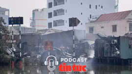 Tin nóng trong nước sáng 12/1/2026