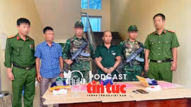 Tin nóng trong nước sáng 21/10/2025