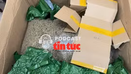 Tin nóng trong nước nghe nhanh sáng 20/2