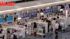 Hãng hàng không lớn Nhật Bản trở thành nạn nhân của tấn công mạng