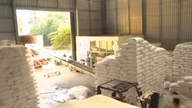 Thái Lan tìm hợp tác để ổn định giá gạo