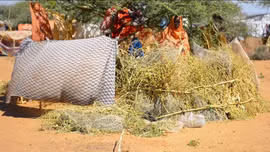 LHQ viện trợ khẩn cấp 110 triệu USD