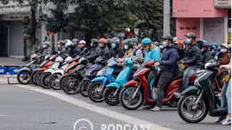 'Giải mã cùng luật sư': Còn 5 giây đèn xanh, đi hay dừng? 