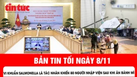 Vi khuẩn salmonella là tác nhân khiến 80 người nhập viện sau khi ăn bánh mì