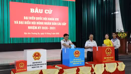 Trên 99% cử tri cả nước đã đi bầu cử