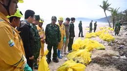 Hàng chục tấn dầu tràn vón cục trôi dạt vào bờ biển thành phố Huế