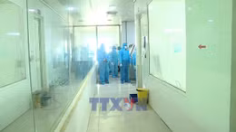 Công bố khả năng bảo hộ của vaccine dịch tả lợn châu Phi đối với virus biến chủng