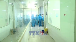 Công bố khả năng bảo hộ của vaccine dịch tả lợn châu Phi đối với virus biến chủng