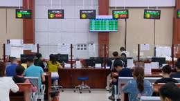 Nghỉ lễ không nghỉ việc