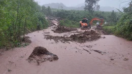 Thiệt hại do mưa lũ (tính đến sáng 5/11/2025)