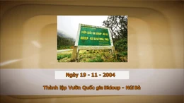 Khoảnh khắc & sự kiện ngày 19/11