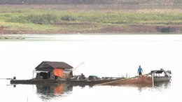 Khó khăn bủa vây nghề nuôi cá lồng bè trên lòng hồ Thác Mơ