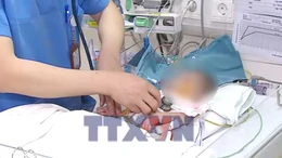 Nối nhịp sống cho những trái tim non