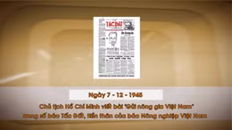 Khoảnh khắc & sự kiện ngày 7/12