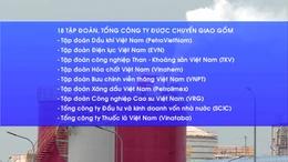 Chuyển giao 18 tập đoàn, tổng công ty về Bộ Tài chính