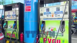 Đẩy nhanh lộ trình triển khai xăng sinh học E10, giảm áp lực nhập khẩu