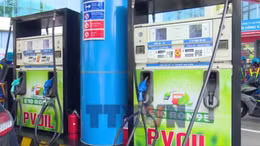 Đẩy nhanh lộ trình triển khai xăng sinh học E10, giảm áp lực nhập khẩu