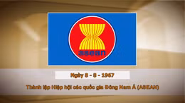 Khoảnh khắc & sự kiện ngày 8/8