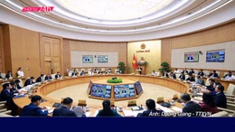 Thời sự 24h qua ảnh sáng 8/11