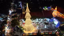 Chiêm ngưỡng cây thông làm từ 3.000 chiếc nón lá