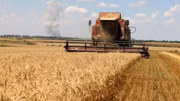 EU thiết lập kỷ lục mới về thương mại nông sản toàn cầu