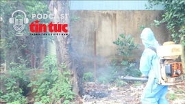 Bác sĩ ơi: Cảnh giác dịch sốt xuất huyết ngay từ đầu năm