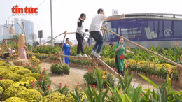 Vườn hoa Xuân ven ga Ba Son khoe sắc thu hút du khách