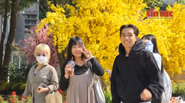 Người dân hào hứng trải nghiệm không gian sắc xuân tại công viên Phan Đình Phùng