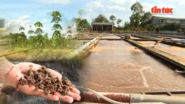 Doanh nghiệp chuyển hóa bùn thải thành phân hữu cơ thân thiện môi trường