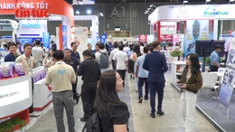 Hơn 150 thương hiệu toàn cầu hội tụ tại triển lãm thủy sản lớn nhất Việt Nam