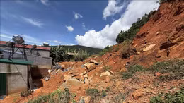 Di dời người dân ra khỏi đồi thông 35 ha có nguy cơ sạt lở