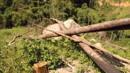 Chặn đứng nạn phá rừng, lấn chiếm đất tại huyện Krông Bông