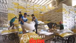 Nông nghiệp phát huy vai trò trụ đỡ của nền kinh tế