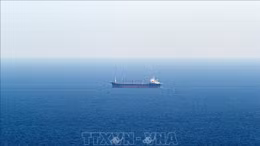 Tàu hàng đầu tiên rời cảng Chornomorsk sau khi thỏa thuận ngũ cốc Biển Đen hết hiệu lực