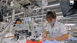 Ngành dệt may Việt Nam có nhiều tín hiệu vui cuối năm