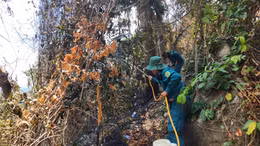 Lực lượng tham gia dập lửa trên Núi Tô sáng ngày 27/4.