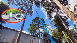 Flycam và xe loại 40m được huy động để kiểm tra và cắt tỉa cây xanh trong Công viên Tao Đàn (Quận 1).