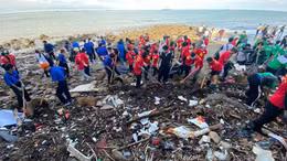 Vì một Việt Nam xanh - sạch